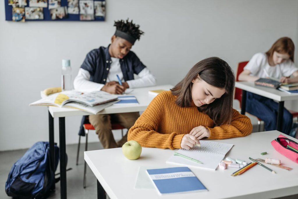 impacto-de-la-inteligencia-emocional-en-el-rendimiento-escolar